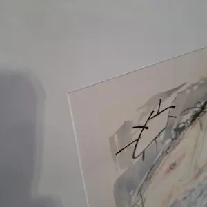 Kees Salentijn - Zeefdruk, De stadsfietser ingelijst kopen? Bied vanaf 60!