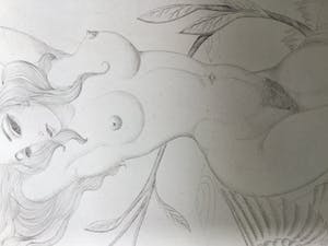 Fons Montens - Dame met de duif kopen? Bied vanaf 50!