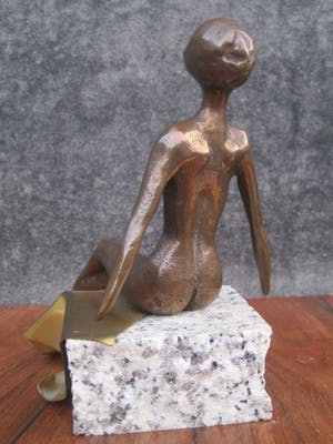 Brons (Onbekend) - Zonnebad kopen? Bied vanaf 60!