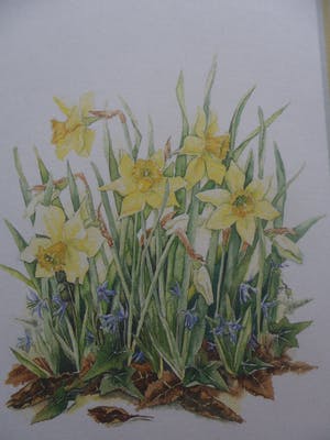 Janneke Brinkman-Salentijn - Litho, Bloemen. kopen? Bied vanaf 10!