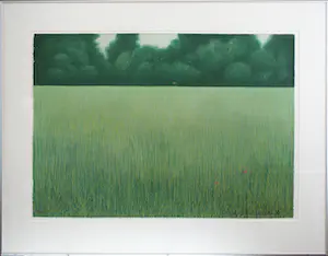 Jean Paul Vroom - Coquelicot kopen? Bied vanaf 25!