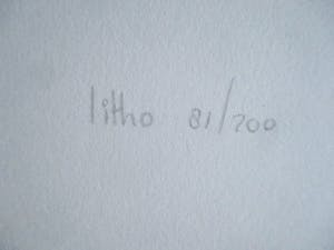 Niet of onleesbaar gesigneerd - Litho kopen? Bied vanaf 1!