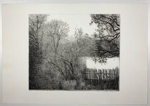 Charles Donker - ets - 'Eendekooi' - Definitieve VIIe staat - 1984 (GROOT) kopen? Bied vanaf 500!