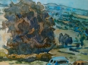 Carl C. van Niekerk - Bij ons Krijtland kopen? Bied vanaf 40!