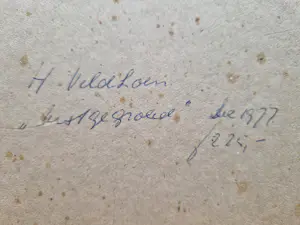 Harm Veldhoen - Vastgegroeid kopen? Bied vanaf 75!