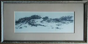 Dirk Harting - Duinlandscahp - Ets rond 1920 kopen? Bied vanaf 35!