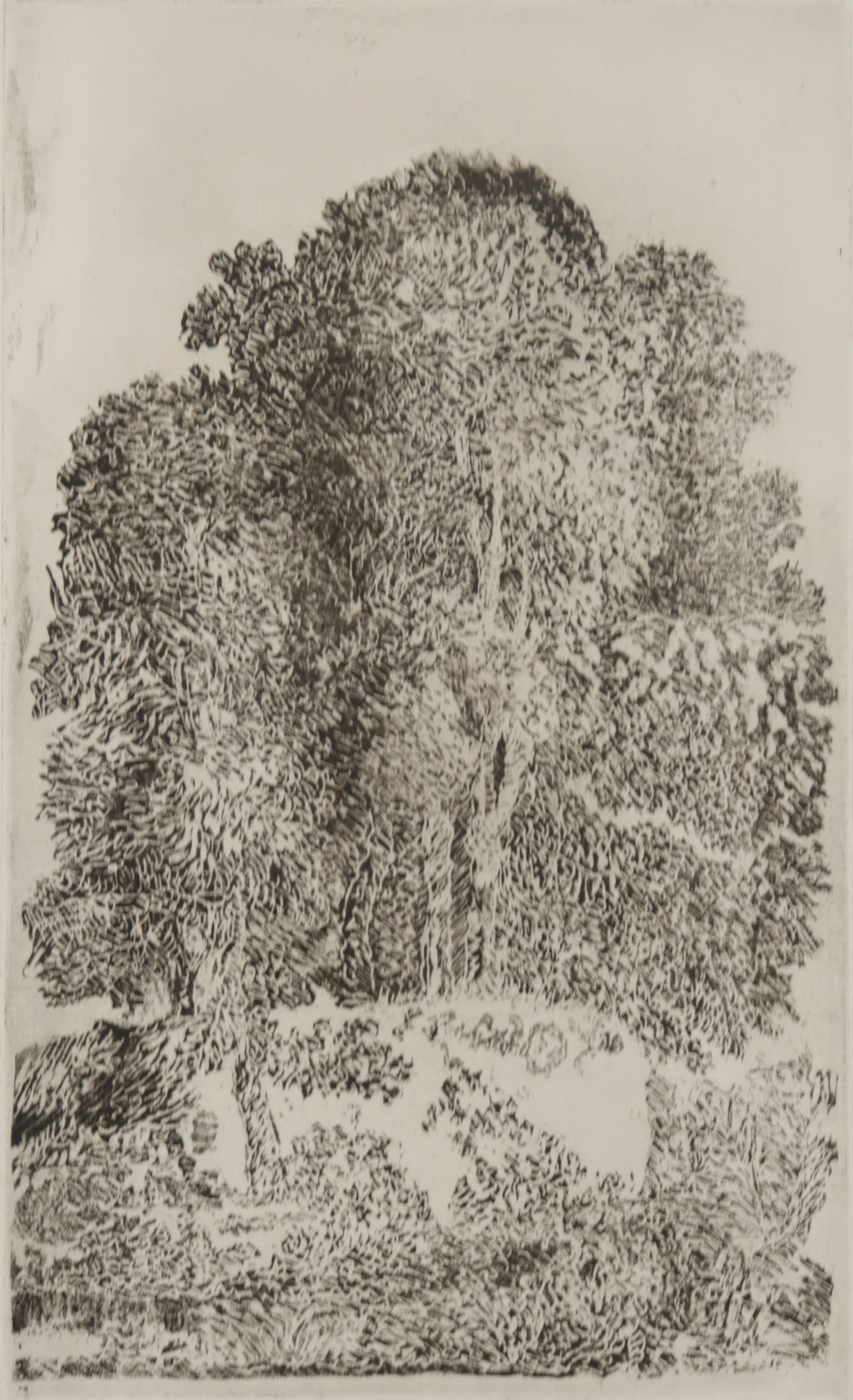 Gerard Bellaart - Lotje (B) met 5 etsen op papier kopen? Bied vanaf 1!