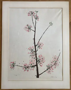 Akke Sins - bloesem (1969) kopen? Bied vanaf 60!