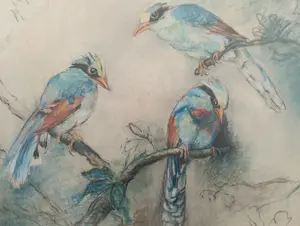 Johanna Pieneman - Drie (jacht) Eksters kopen? Bied vanaf 95!