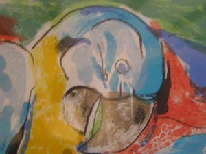 Anton Vrede - Spring Vreeze kopen? Bied vanaf 1!