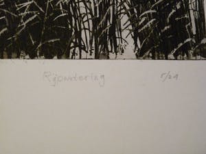 Wim Bettenhausen - RIJPWETERING kopen? Bied vanaf 95!