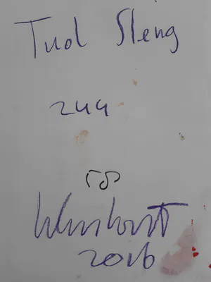 Peter Klashorst - Gemengde techniek - Handgesigneerd !!! kopen? Bied vanaf 75!