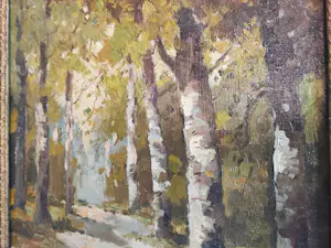 Cor Noltee - Het Zonnige Berkenpad kopen? Bied vanaf 90!