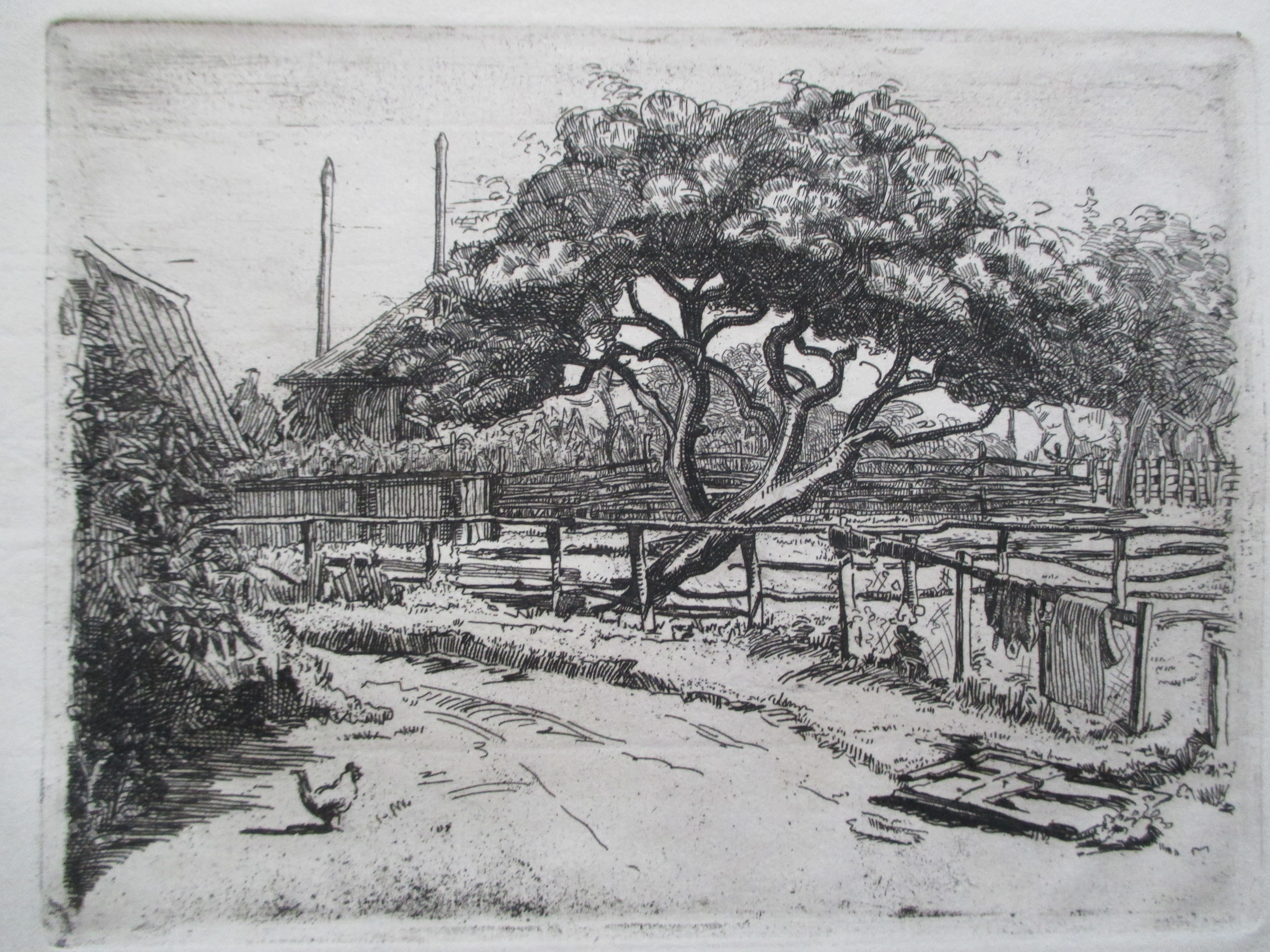 Debora Duyvis - ets boerderijerf kopen? Bied vanaf 20!