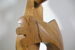 Niet of onleesbaar gesigneerd - Groot organisch gevormd houten sculptuur (Zwaar!) kopen? Bied vanaf 1!
