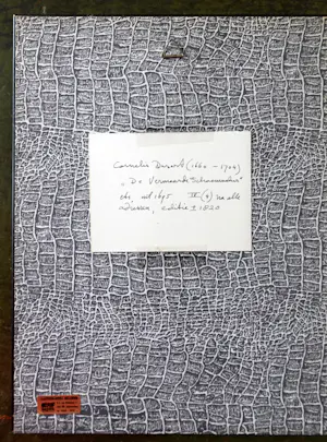 Cornelis Dusart - 2x ets : De vermaarde Schoenmaaker - Heelmeester kopen? Bied vanaf 50!