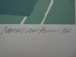 Marcus van Hoorn - "DE WEIDE NES" Reviseted. kopen? Bied vanaf 40!