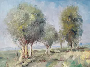 Louis Henno - natuurzicht in de buurt van Sluis kopen? Bied vanaf 300!