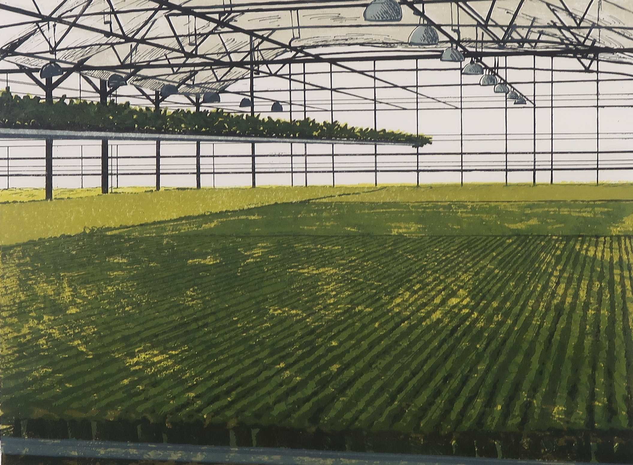 Joost Minnigh - Litho, Potplanten - Ingelijst kopen? Bied vanaf 40!