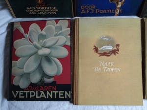 Curiosa - 7 Plaatjesalbums , Verkade (5x), Douwe Egberts (1x), Haust (1x) – (1925-1950) kopen? Bied vanaf 1!