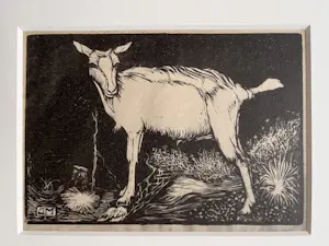 Jan Mankes - Originele Heliogravure Geit 1923 kopen? Bied vanaf 135!