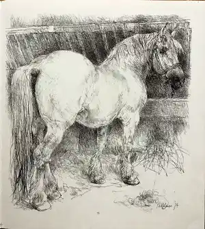 Piet Klaasse - Paarden, proefdrukken offsetlitho, 2-zijdig bedrukt, gesigneerd in druk verkocht voor € 20!