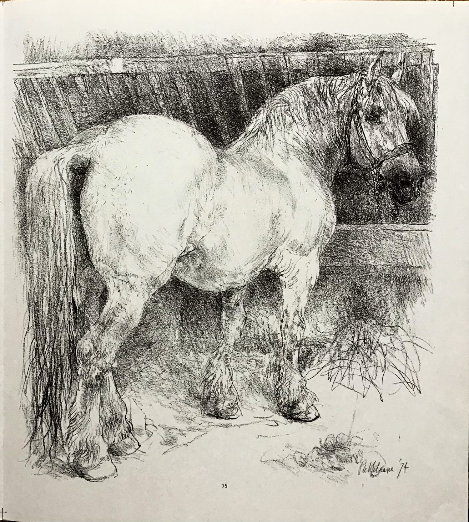 Piet Klaasse - Paarden, proefdrukken offsetlitho, 2-zijdig bedrukt, gesigneerd in druk kopen? Bied vanaf 20!