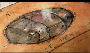 Panamarenko - Thermo voltaic Energy convector kopen? Bied vanaf 250!