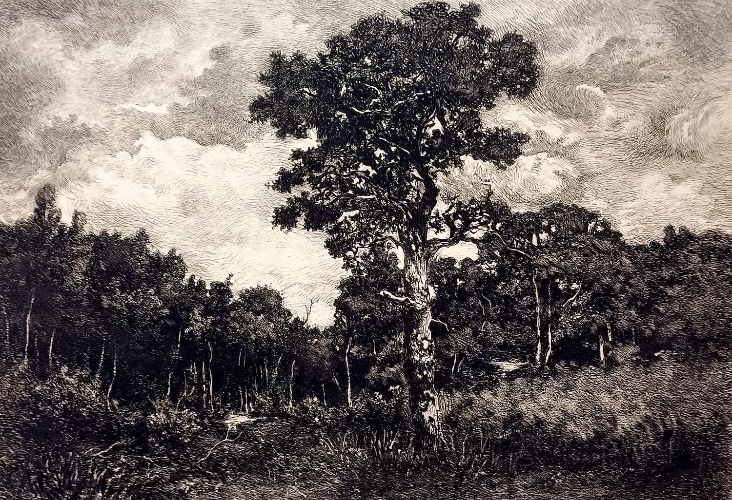 C.L. Dake - ets: landschap kopen? Bied vanaf 49!