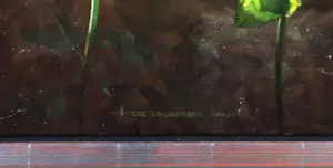 Ger Stallenberg - Olieverf op doek, Mystery Garden - Ingelijst kopen? Bied vanaf 150!