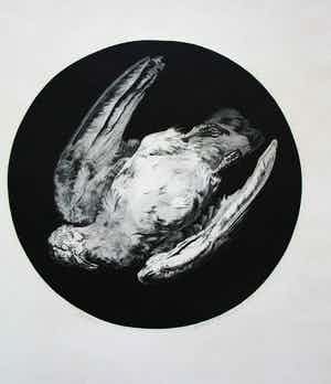 Dick Stolwijk - ets: dode duif - 1969 verkocht voor € 50!