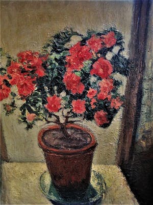 Niet of onleesbaar gesigneerd - GROOT omstreeks 1930 geschilderd stilleven van Rode potplant kopen? Bied vanaf 10!