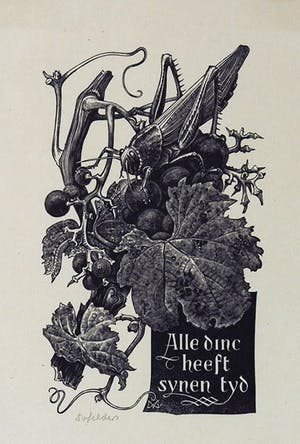 Dirk van Gelder - Sprinkhaan op druiventak - Alle Dinc heeft synen tyd, houtgravure, 1940 kopen? Bied vanaf 30!
