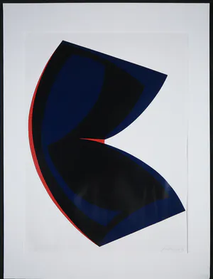 Franck Gribling - Zeefdruk, Le nouveau né de l'espace kopen? Bied vanaf 1!