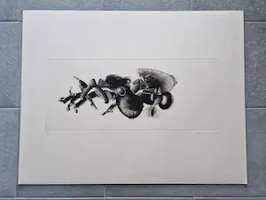 Jan Prins - Fascinerende - kleine oplage (8) - Ets "de onderdelen van een spin" gesigneerd kopen? Bied vanaf 1!