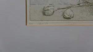 Wout van Vliet - Stilleven met tak van lampionplant - Gesigneerd - 2 kleurenets kopen? Bied vanaf 35!