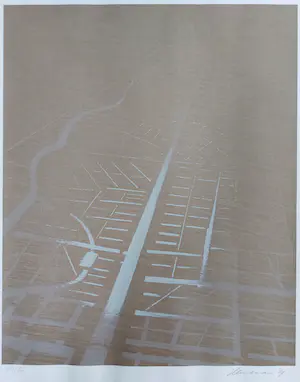 Jeroen Henneman - Land in vogelvlucht kopen? Bied vanaf 80!