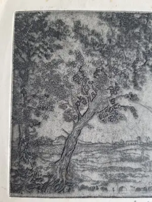Poppe Damave - Landschap kopen? Bied vanaf 20!
