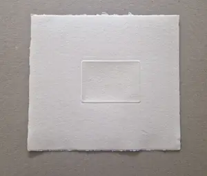 Mira den Hartog - magnifieke droge naald Ets "naakt aan waterkant" - zeer kleine oplage (10) kopen? Bied vanaf 38!