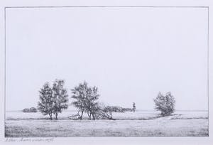 Hans Visser - Litho, Landschap met omgevallen bomen kopen? Bied vanaf 1!