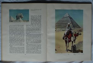 Curiosa - 7 Plaatjesalbums , Verkade (5x), Douwe Egberts (1x), Haust (1x) – (1925-1950) kopen? Bied vanaf 1!