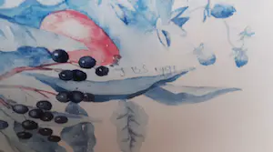 Janneke Brinkman-Salentijn - Bloemenweelde I en II kopen? Bied vanaf 50!