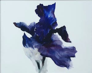 Kitty Mulder - Aquarel: Bloem - Ingelijst kopen? Bied vanaf 370!