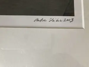 Anton Sladek - Ballerina's kopen? Bied vanaf 75!