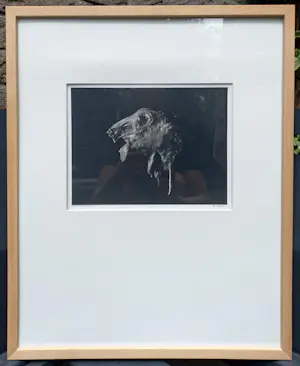 Paul Blanca - Portrait of rabbit, C-print (zeer kleine oplage, netjes ingelijst) kopen? Bied vanaf 95!