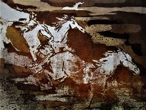 Niet of onleesbaar gesigneerd - gesigneerde, in zeer kleine oplage gemaakte Litho "Wilde Paarden" kopen? Bied vanaf 1!