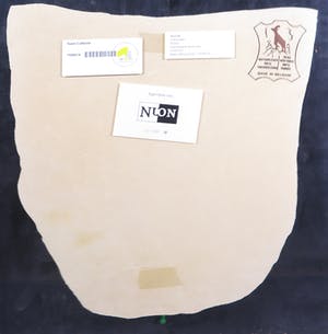 Sephina Kersten - Litho op leer, Poets - Ingelijst kopen? Bied vanaf 45!