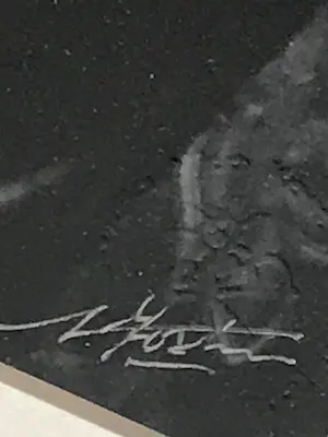 Nico Koster - David Bowie Amstelhotel 1974 kopen? Bied vanaf 150!