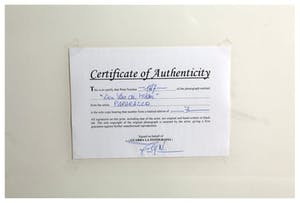 Filip Naudts - "Lien Van de Kelder" (afwerking: diasec) kopen? Bied vanaf 200!