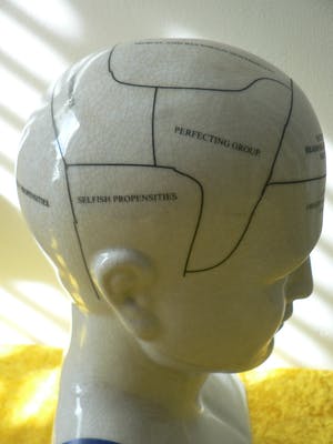 Curiosa - Phrenology head by L.N.Fowler kopen? Bied vanaf 50!